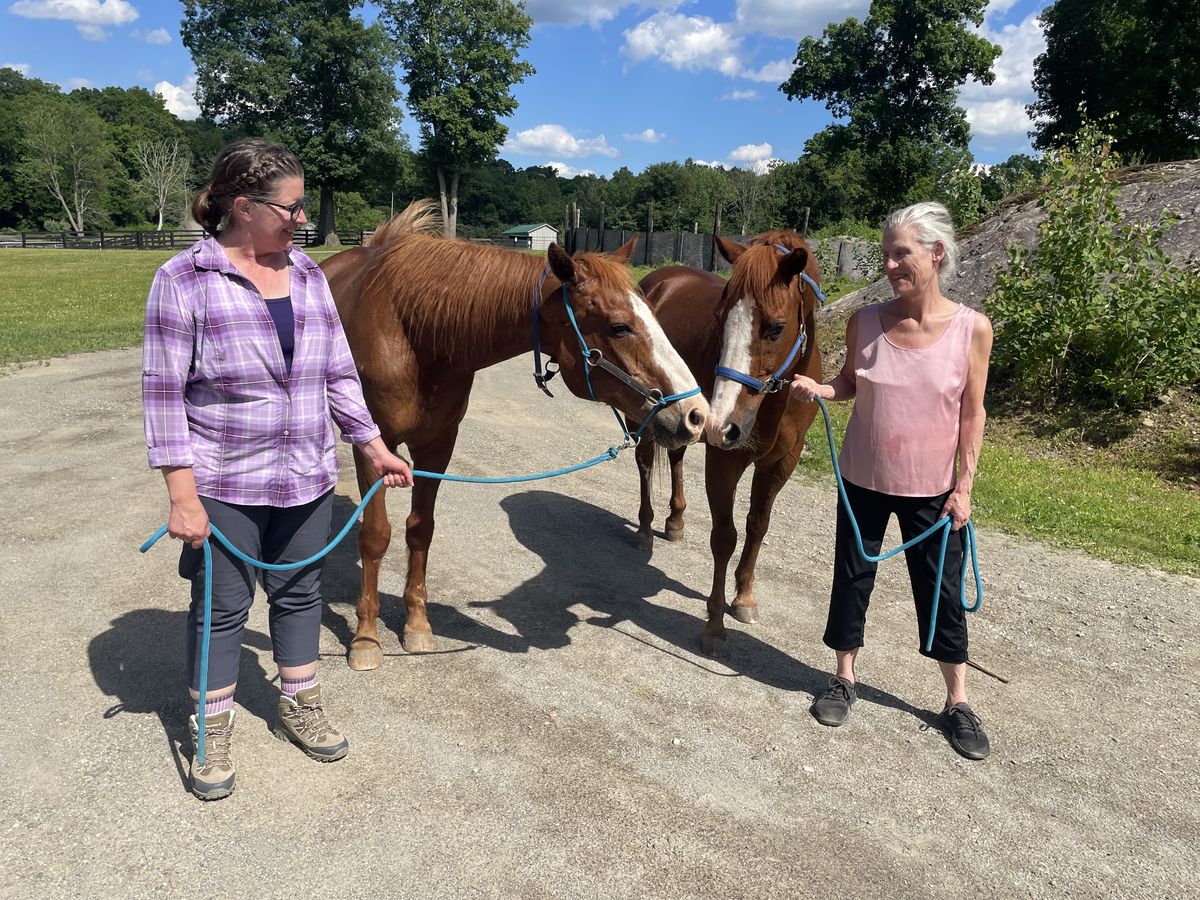 James and Olivia walking with horses at the farm