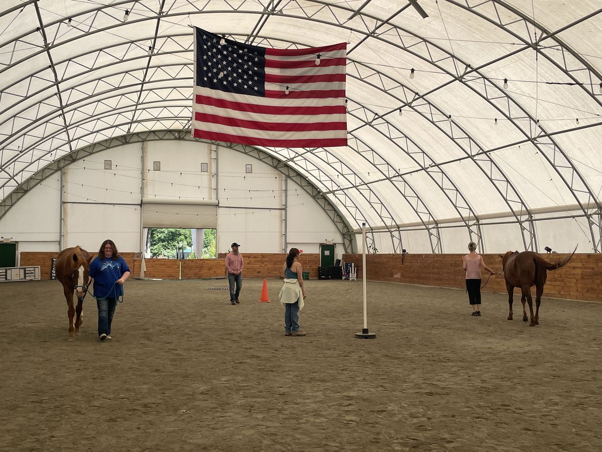 Couples working with horses in the arena during a workshop session