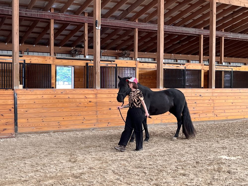 A participant walking alongside a horse during a workshop exercise